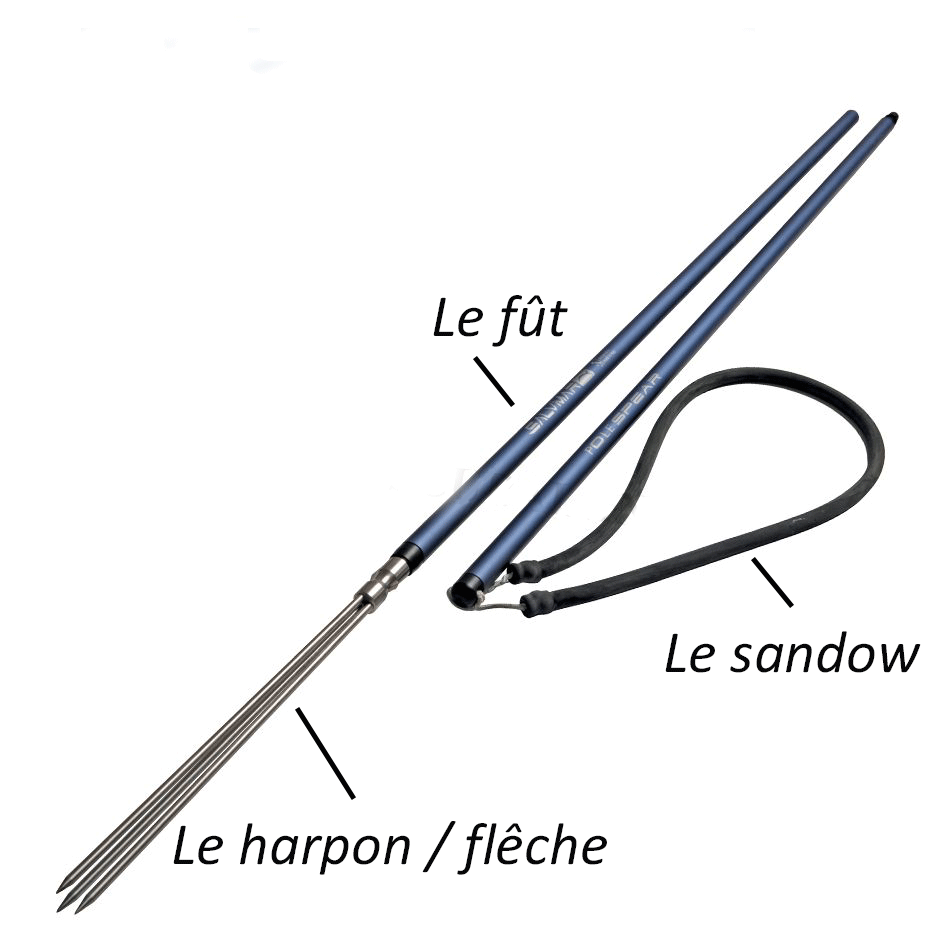 les-trois-elements-qui-composent-un-pole-spear