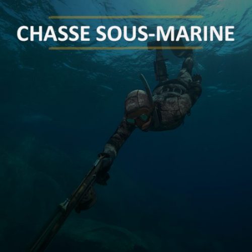 Matériel de chasse sous-marine en ligne et dans la boutique de Brest