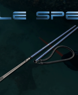 Le Pole Spear, une autre façon de pratiquer la pêche sous-marine