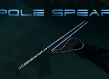 Le Pole Spear, une autre façon de pratiquer la pêche sous-marine
