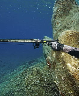 Technique : l’agachon ou affût sous-marin