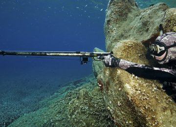 Technique : l’agachon ou affût sous-marin