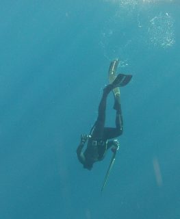 Technique : la coulée