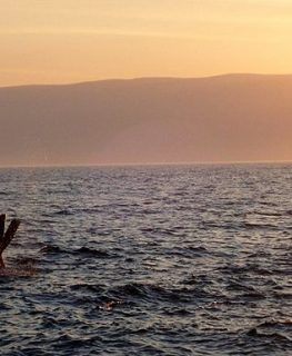 Maîtriser le plongeon canard en chasse sous-marine