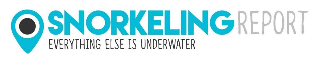 Logo snorkeling report