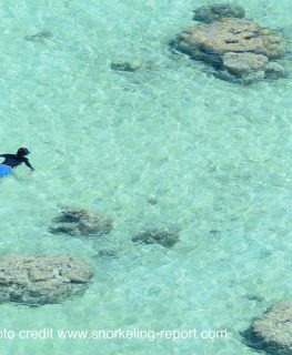 Découvrez et explorez les plus beaux spots de snorkeling avec Snorkeling Report
