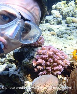 Découvrez et explorez les plus beaux spots de snorkeling avec Snorkeling Report