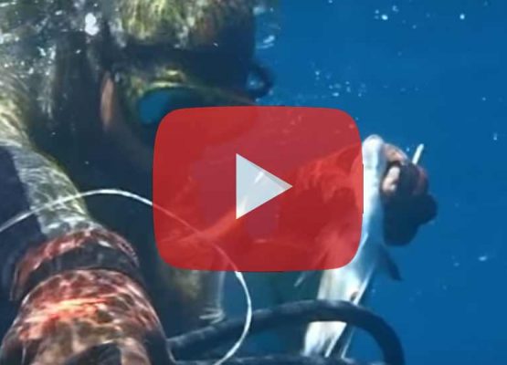 Youtube : Top 10 des vidéos chasse sous-marine les plus vues en 2016