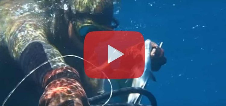 Youtube : Top 10 des vidéos chasse sous-marine les plus vues en 2016