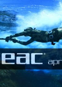 Seac : Les nouveaux équipements de chasse sous-marine