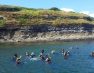Où faire du snorkeling en Bretagne ?