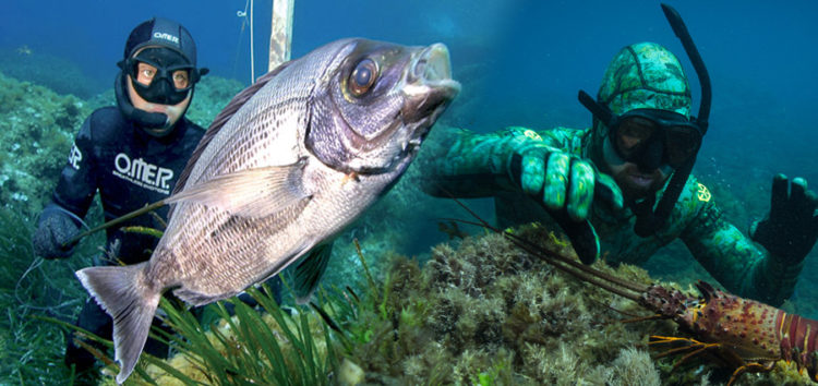 [Bon Plan] Offres Spéciales OMER   SPORASUB mai-juin 2018