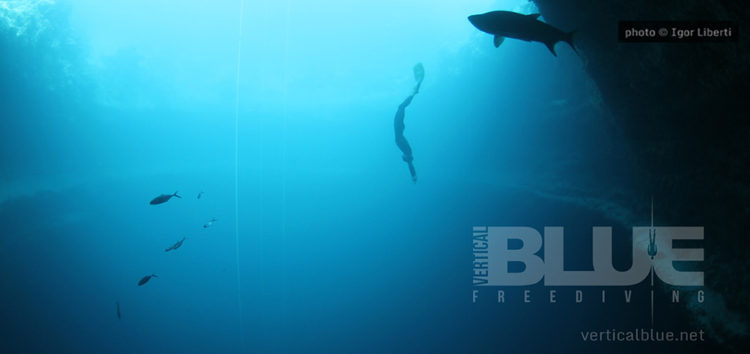 Vertical Blue 2018 :  Le rendez-vous mondial des meilleurs apnéistes !