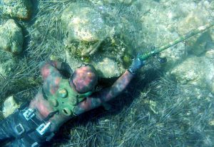 Les techniques de chasse sous-marine | Le Petit Plongeur