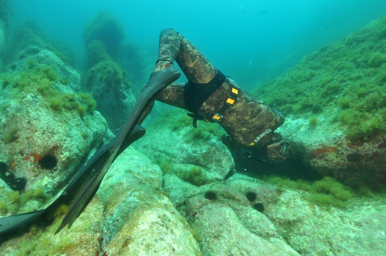 Chasse à trou, Technique de chasse sous-marine