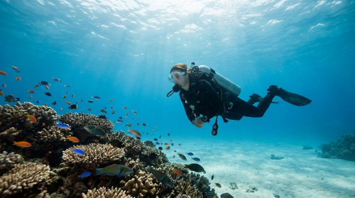 Assurance plongee : pourquoi, laquelle choisir et a quel prix - plongee sous-marine