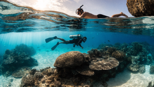 Plongee aux Maldives : spots, saison et budget Plongee aux Maldives : spots, saison et budget - plongee sous-marine