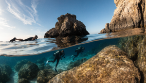 Visiter la réserve de Scandola : guide entre mer et plongée Visiter la réserve de Scandola : guide entre mer et plongée - plongee sous-marine