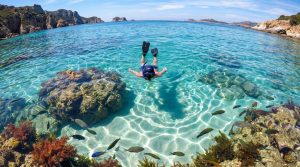 Snorkeling en Corse : les meilleurs spots de l'île Un plongeur en masque et palmes nage dans une eau turquoise transparente entouré de poissons près de rochers en Corse.
