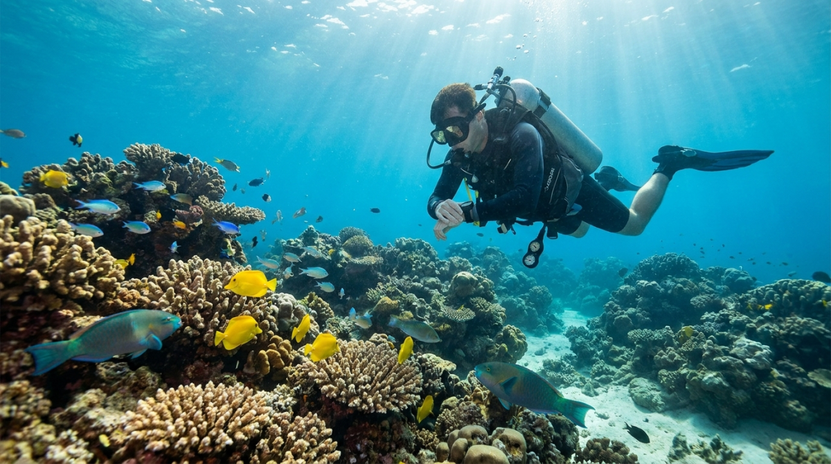 Assurance voyage plongee : bien couvrir son sejour - plongee sous-marine