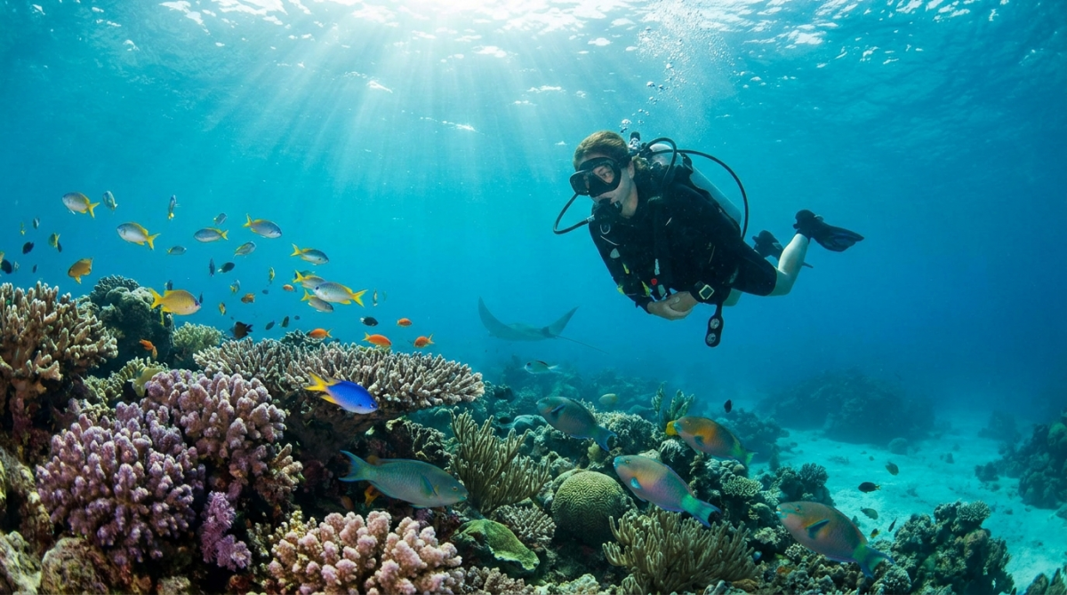Les meilleures destinations de plongee dans le monde - plongee sous-marine
