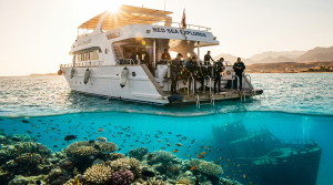 Croisière plongée en mer Rouge : itinéraires, saison et budget Croisière plongée en mer Rouge : itinéraires, saison et budget - plongee sous-marine