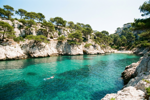 Snorkeling dans les Calanques de Marseille et Cassis : spots, faune et conseils Snorkeling dans une calanque turquoise entre Marseille et Cassis